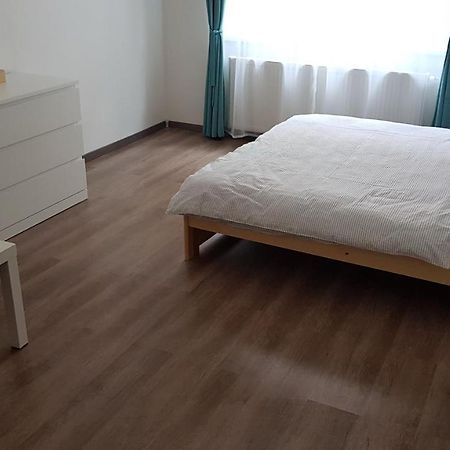 Apartman Pod Zamkem Дечин Екстериор снимка